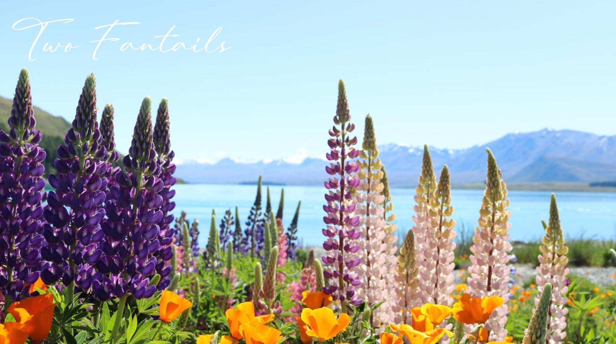 Villa Two Fantails - Mountain Views Lake Tekapo Exterior foto